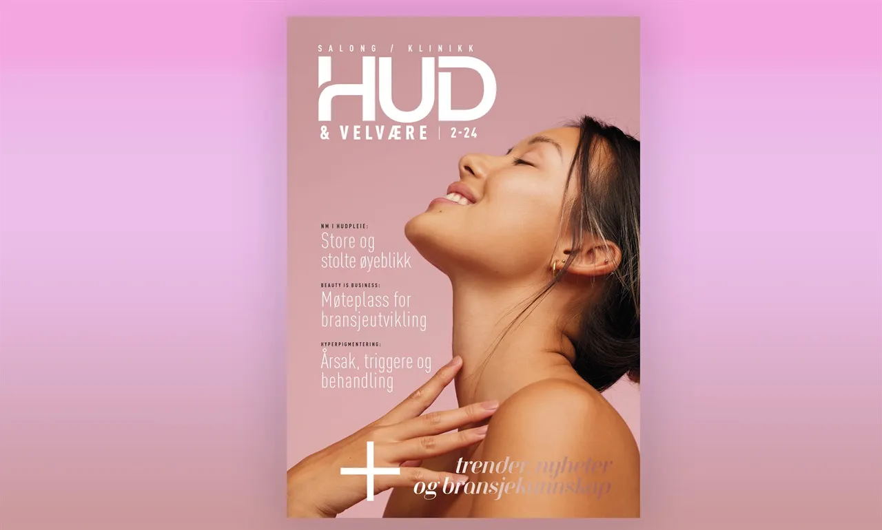 Bransjeutvikling i praksis