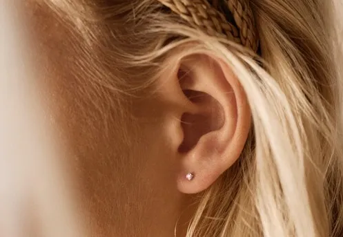 Vårens nyheter fra Blomdahl