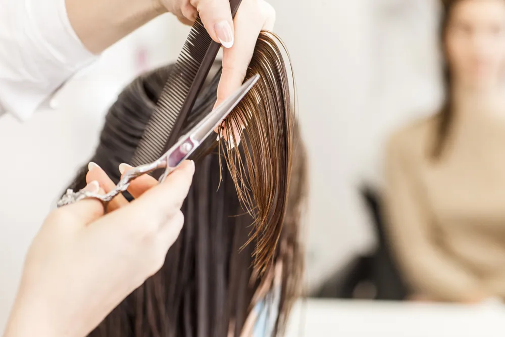 Praktisk informasjon om svenneprøven